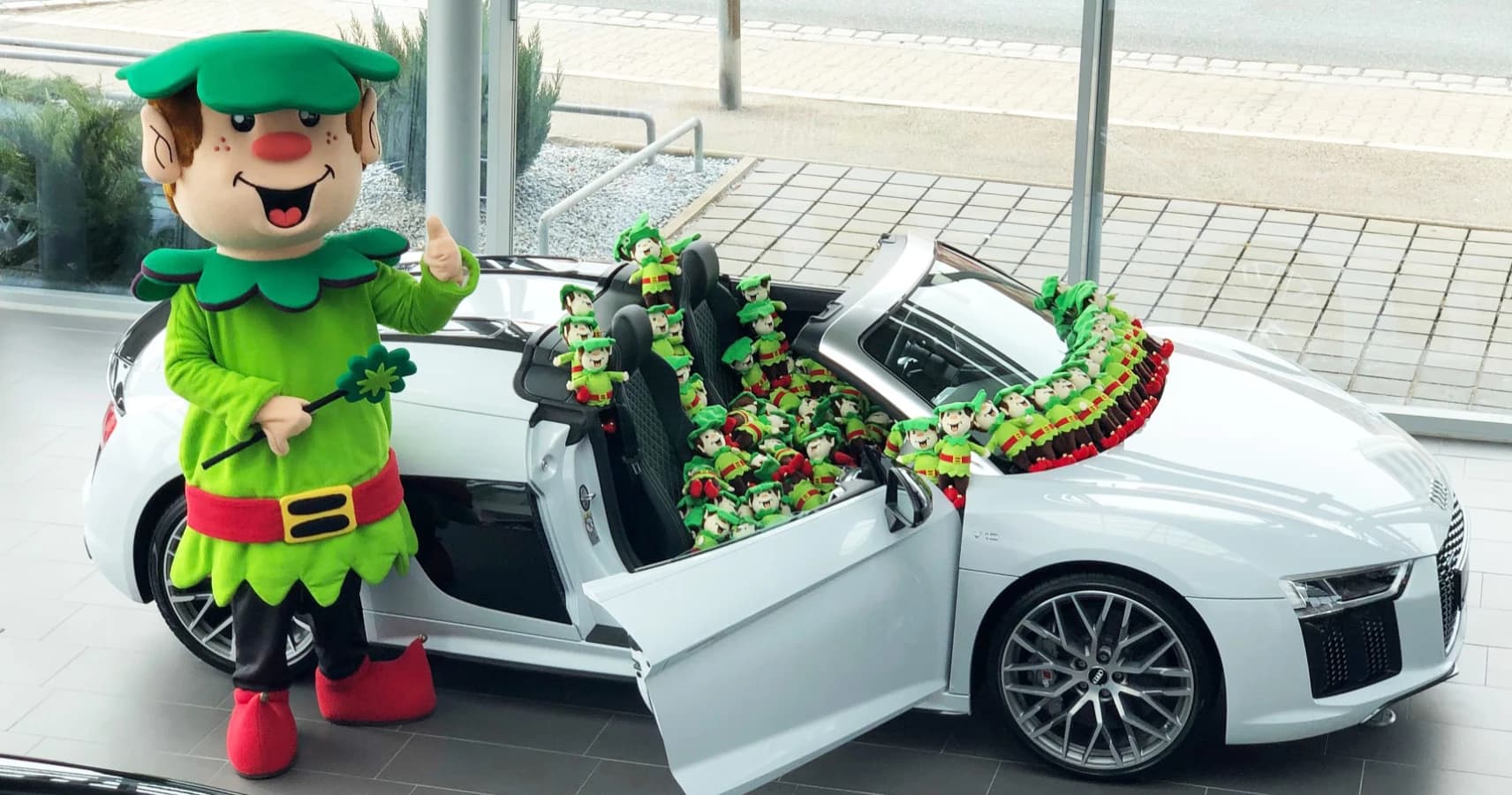 elfie audi